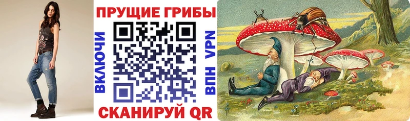 Псилоцибиновые грибы Cubensis  Краснознаменск 