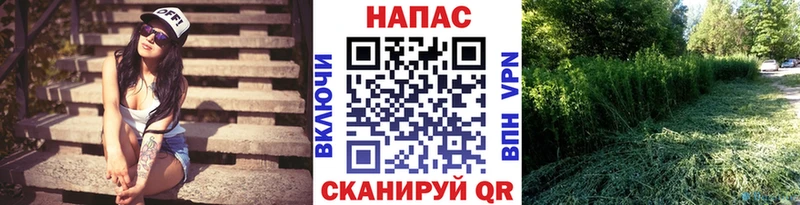 Шишки марихуана сатива  Краснознаменск 